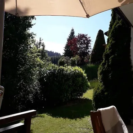 Todtmoos: Sonnige 2-zimmer-wohnung Im Grunen Lägenhet *